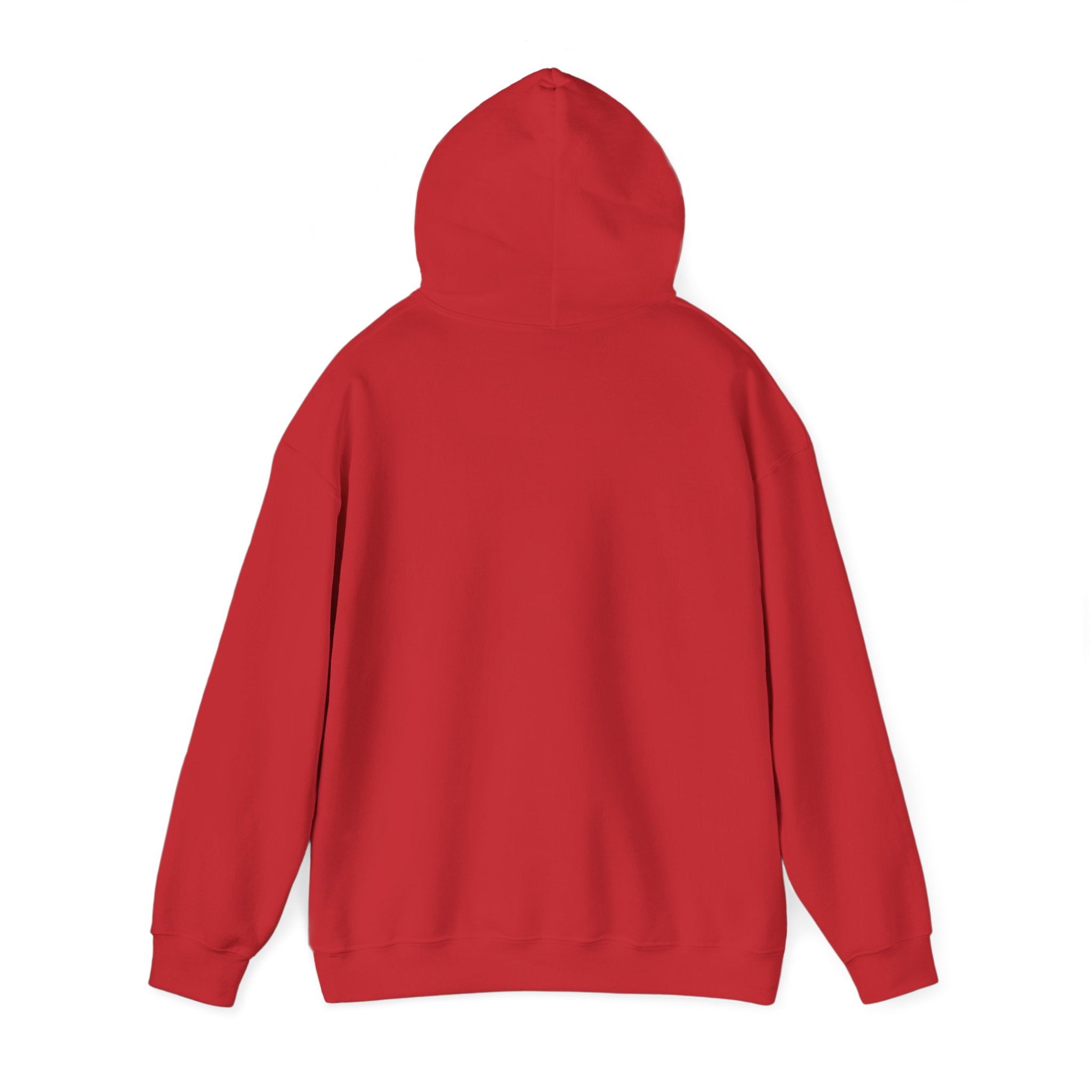 LUCIANO NOIR — Red & Red Heavyweight Hoodie
